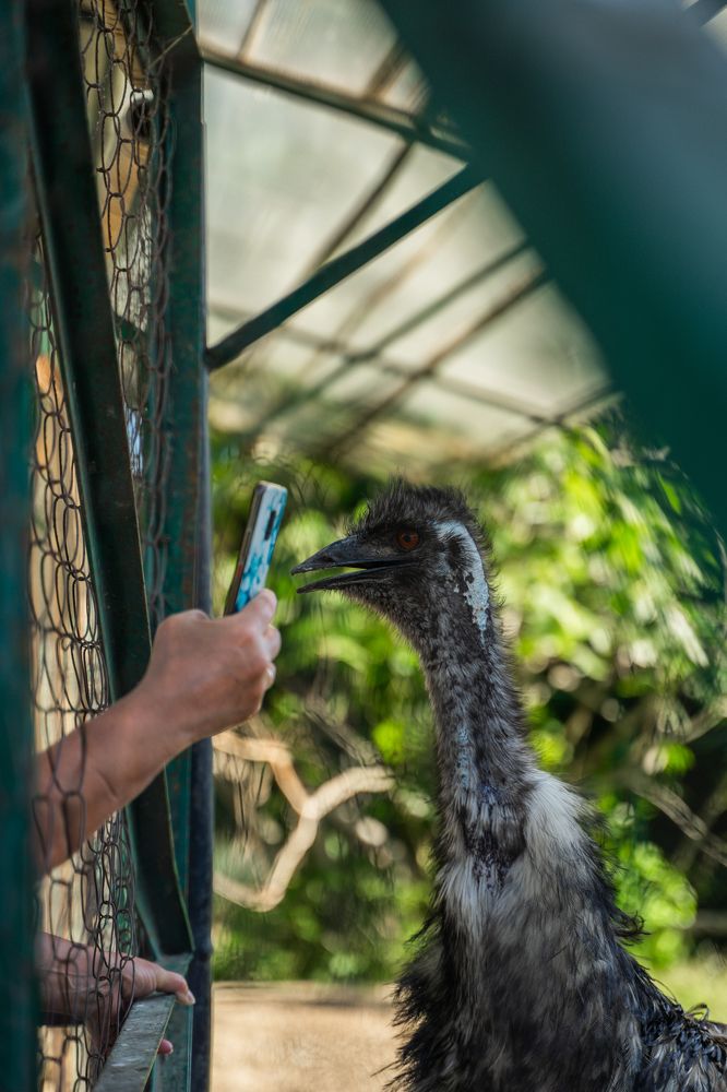 Photograph by Даниил Свиридов