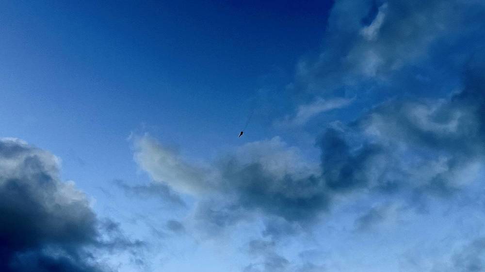 Фотография автора Андрей Занкович