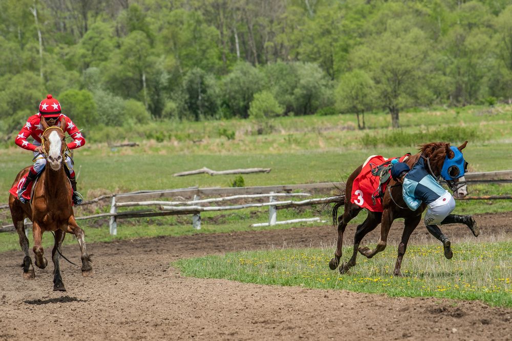 Photograph by константин