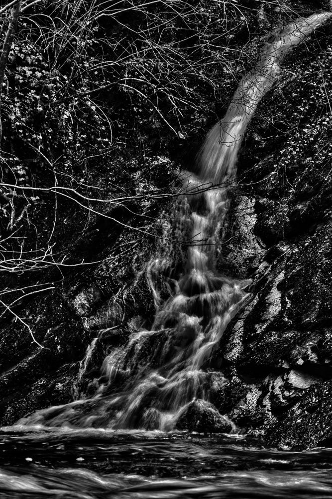 Photograph by Василиса Прекрасная