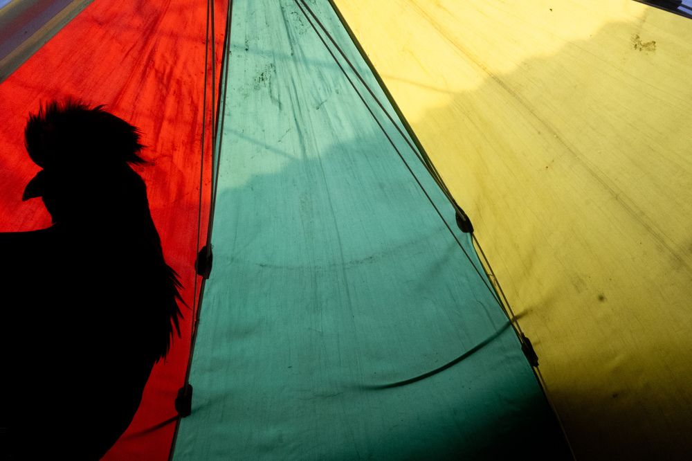 Photograph by Rajdeep Das