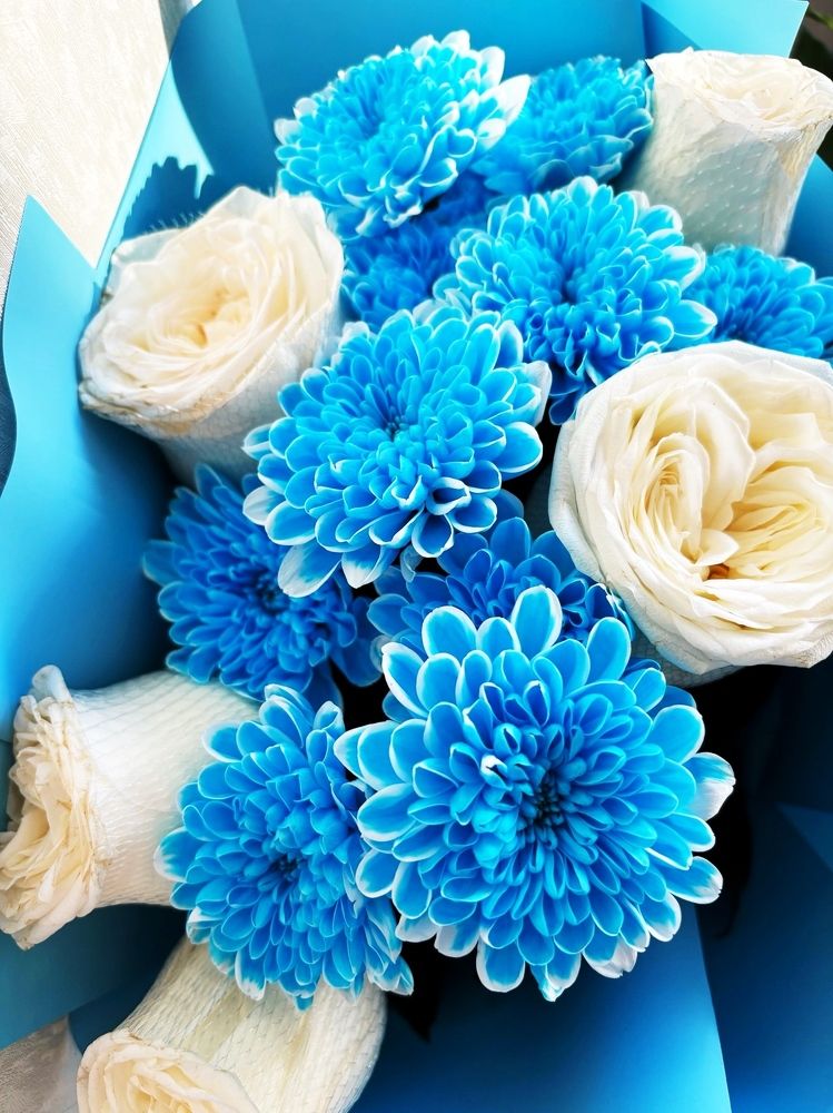 Photograph by Титаренко Людмила