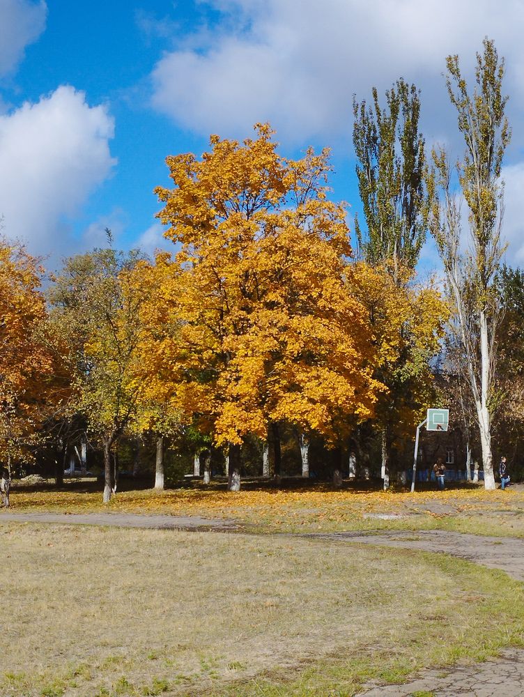 Photograph by Виктория Дудкина