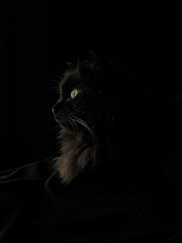 Photograph by Tatiana