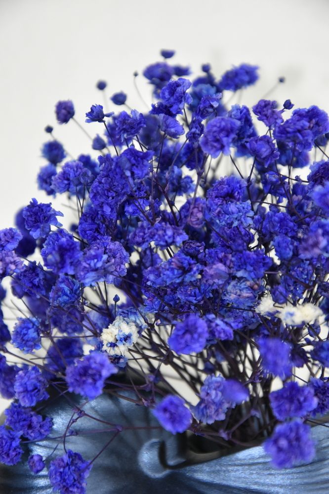 Photograph by Юлия Ю.