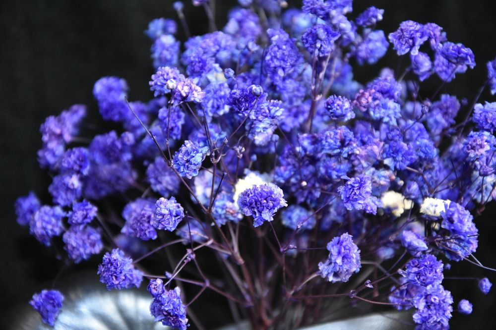 Photograph by Юлия Ю.