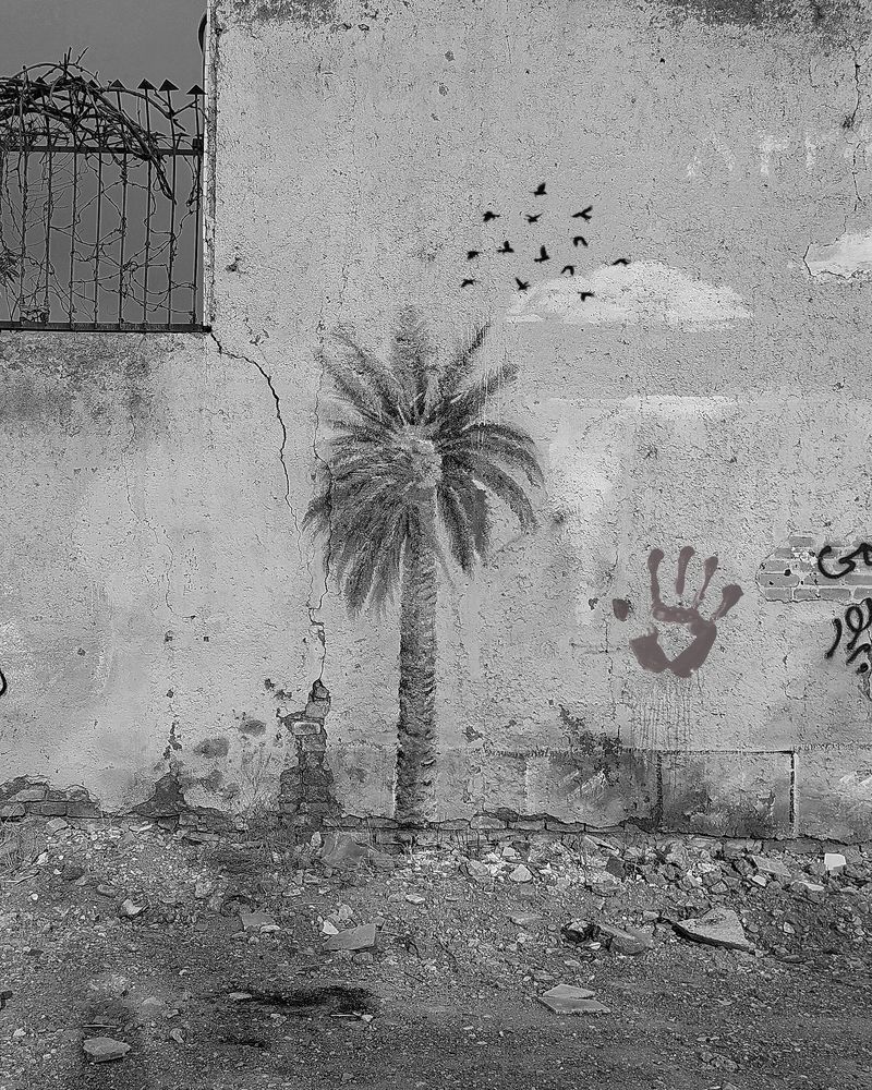 Photograph by Iraj Jabbari