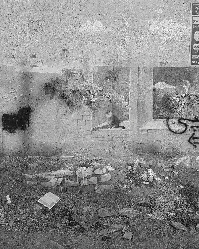 Photograph by Iraj Jabbari