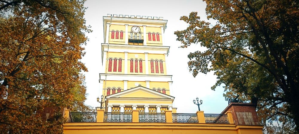 Photograph by Mishel Photographer