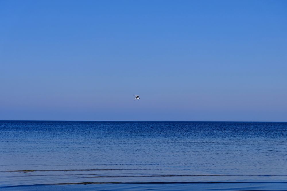 Фотография автора VIZO VIZO