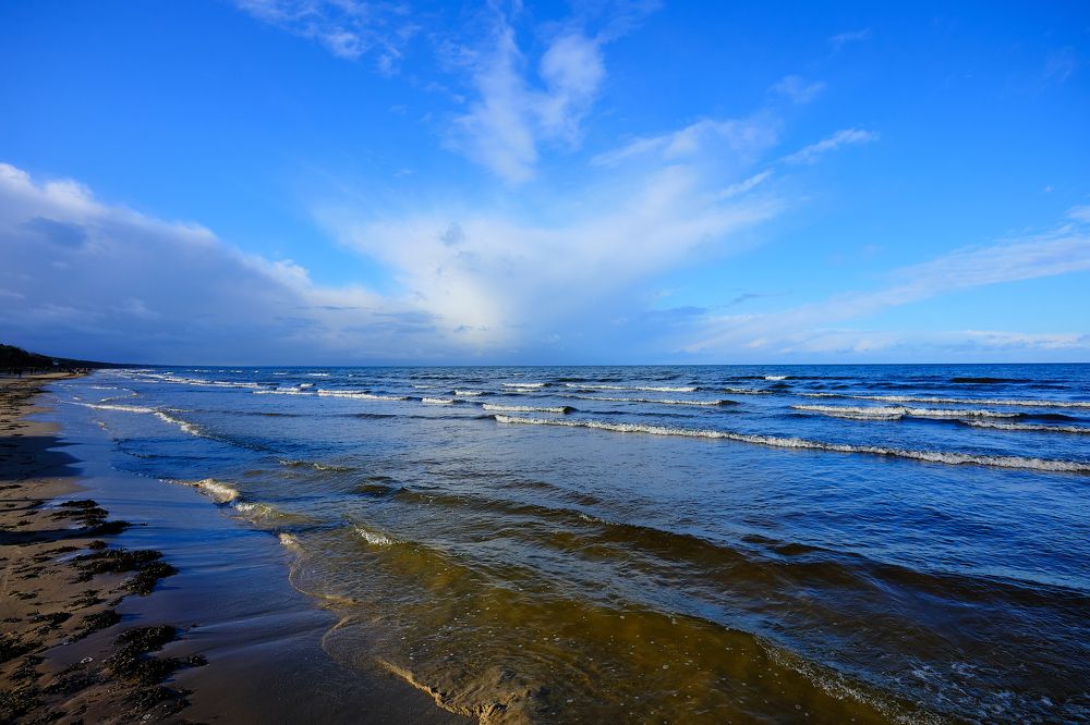 Фотография автора VIZO VIZO