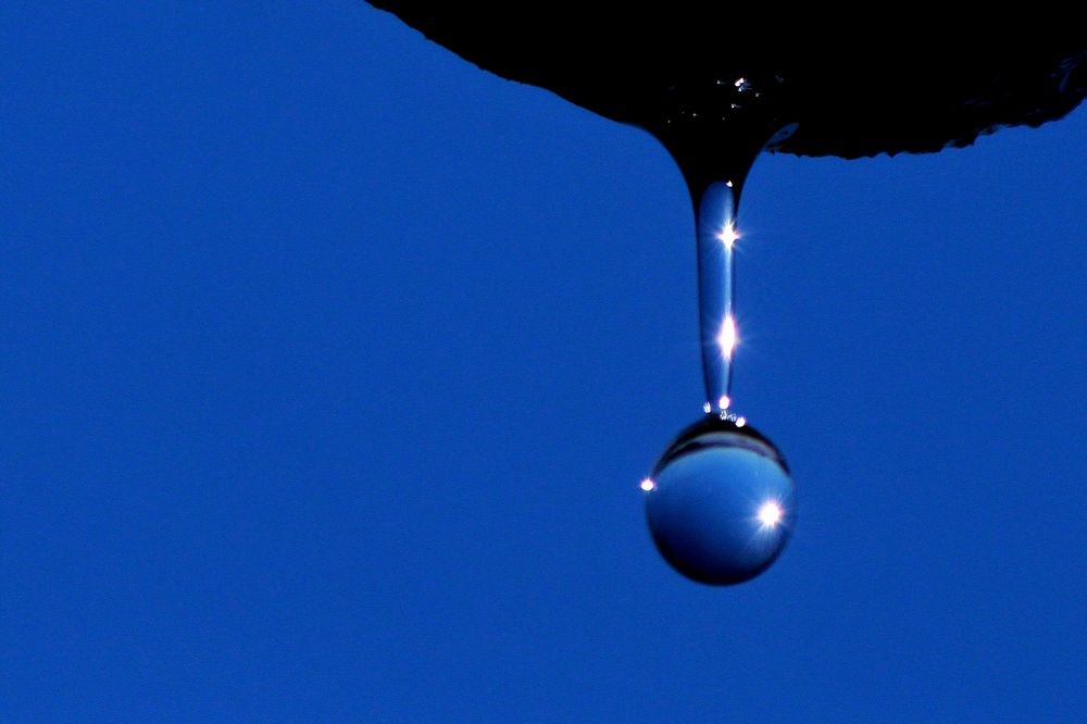 Photograph by Александр Велигура