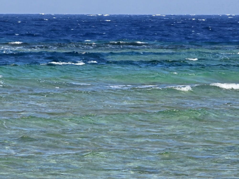 Photograph by Edmund Randal