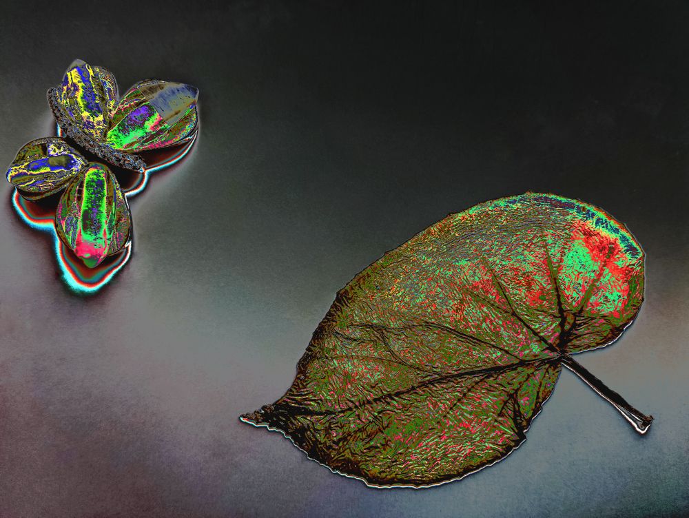 Photograph by Евгений Соколов