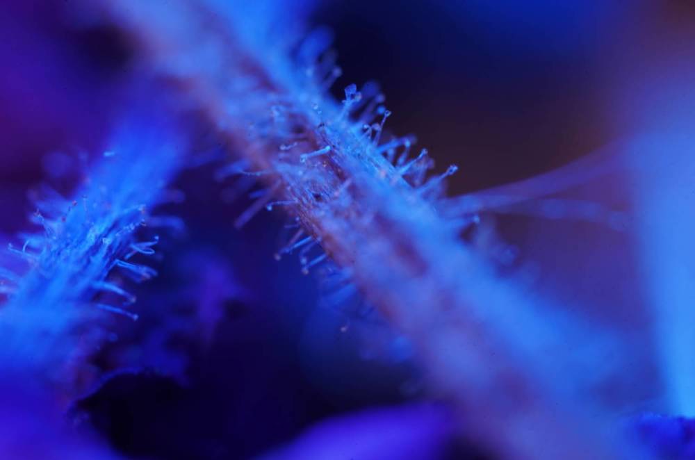 Photograph by Владислав Кравцов