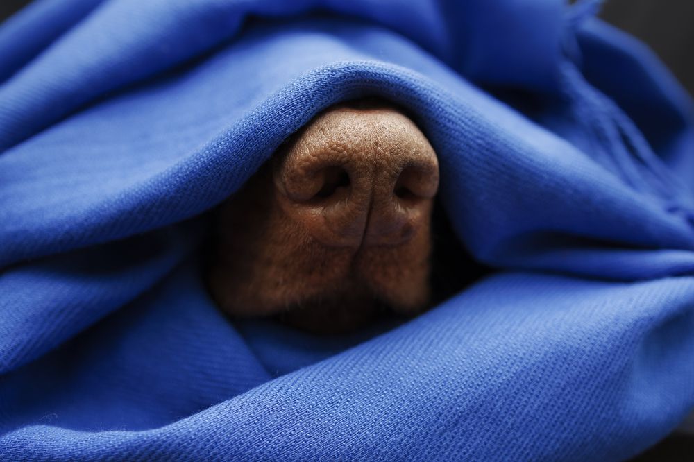 Photograph by Мария Клещенко