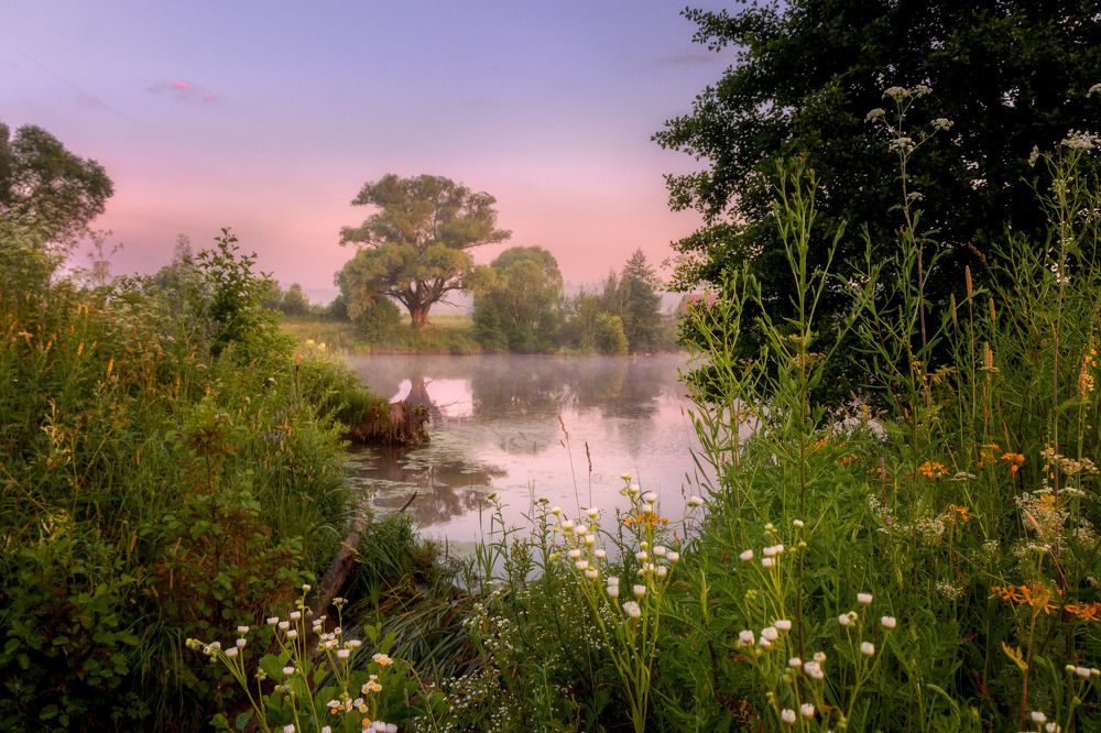 Фотография автора Сережин Сережа