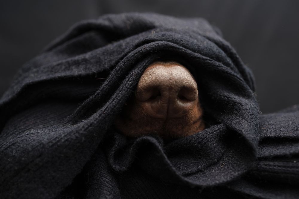 Photograph by Мария Клещенко