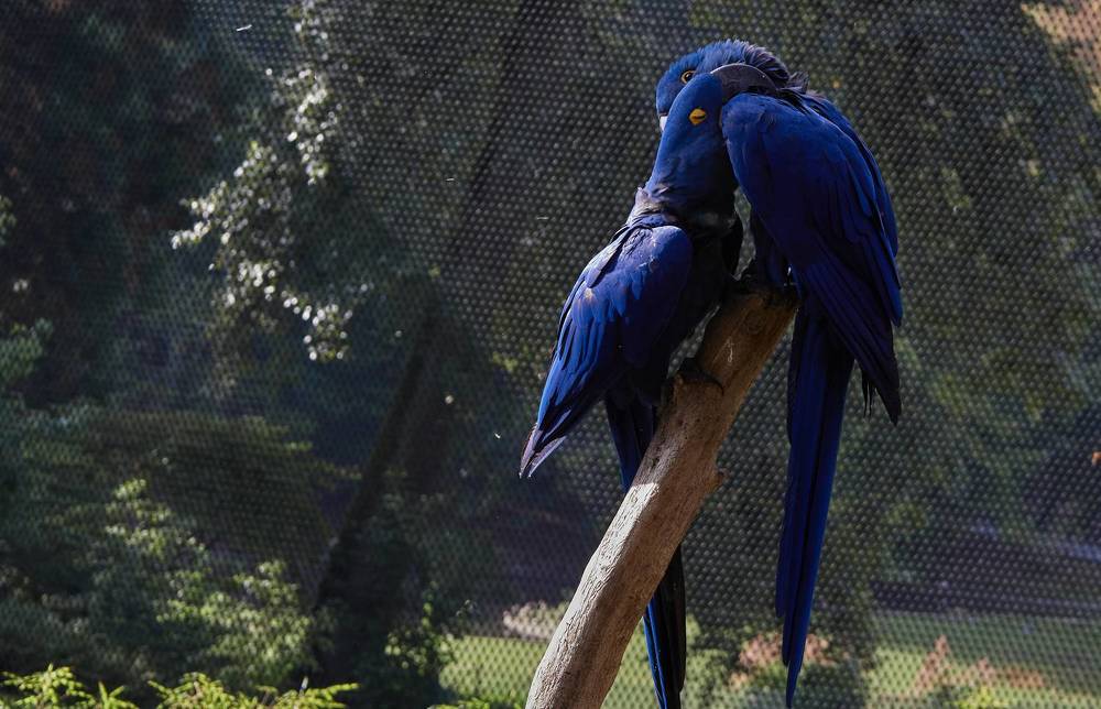 Фотография автора Ekaterina Palant