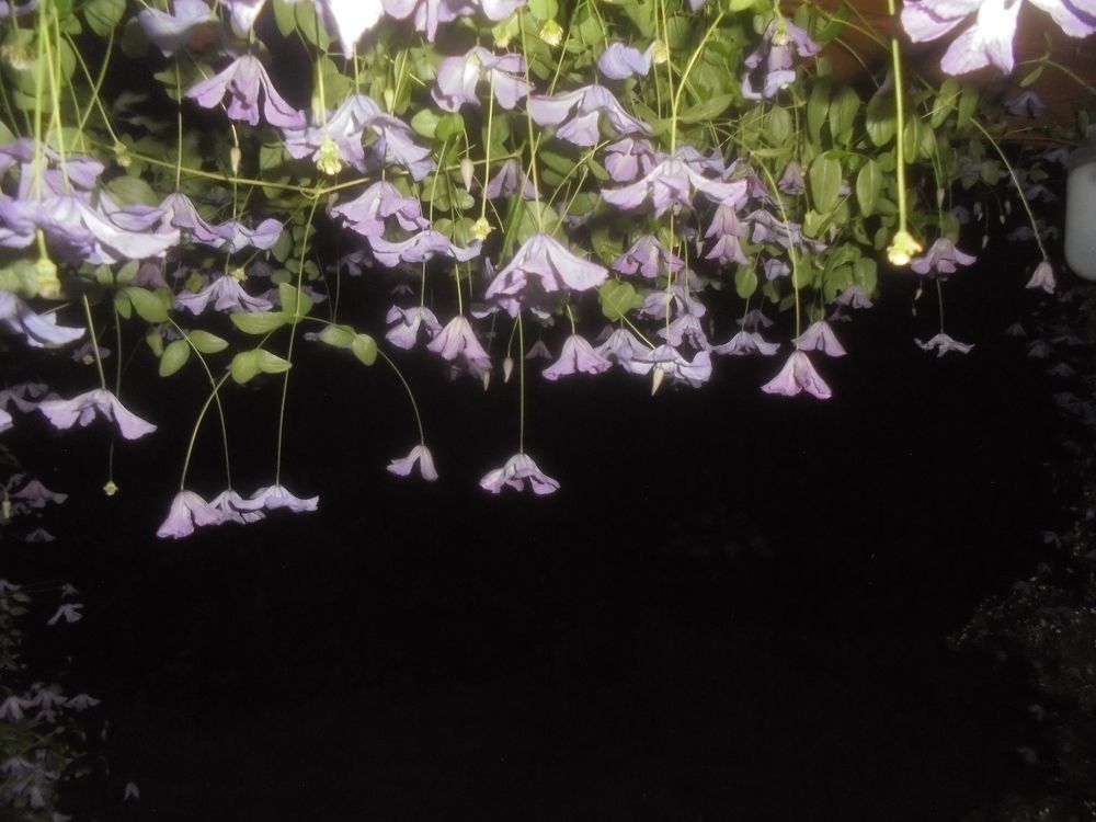 Photograph by Лилия Исхакова