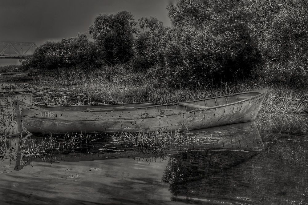 Фотография автора Виктор Крючков