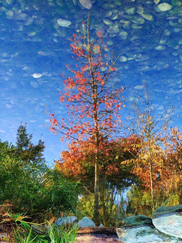 Photograph by Андрей Евтеев