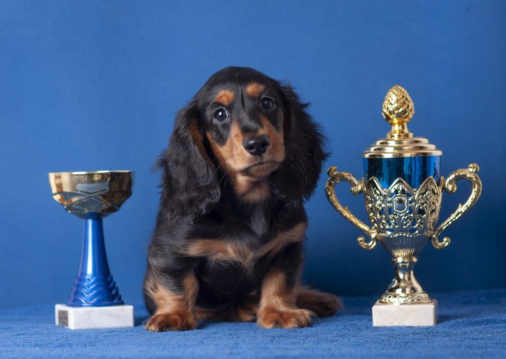 Photograph by Антонина Копытина