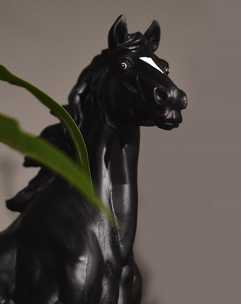 Photograph by Алексей Парамонов