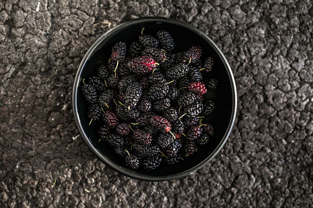 Photograph by Maria Sokor-Bondarenko