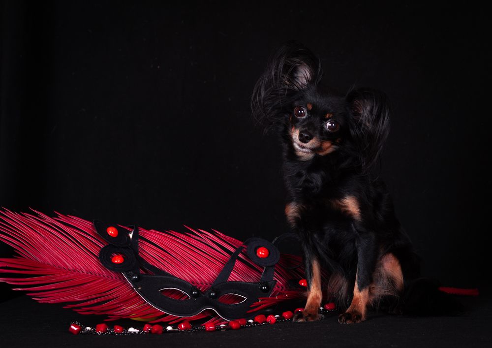 Photograph by Антонина Копытина