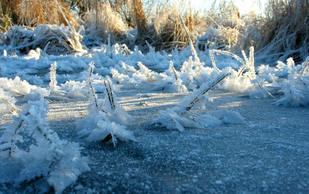 Photograph by Pavel Gukov