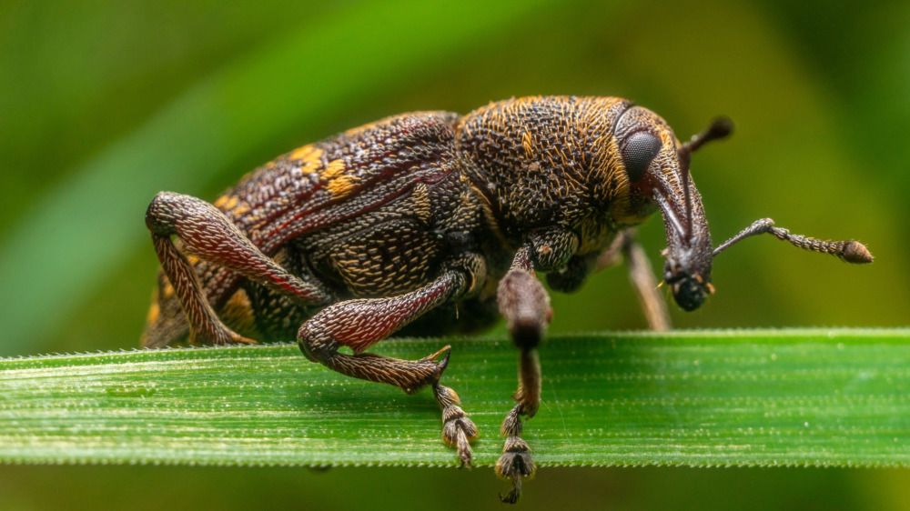 Photograph by Алексей Жариков