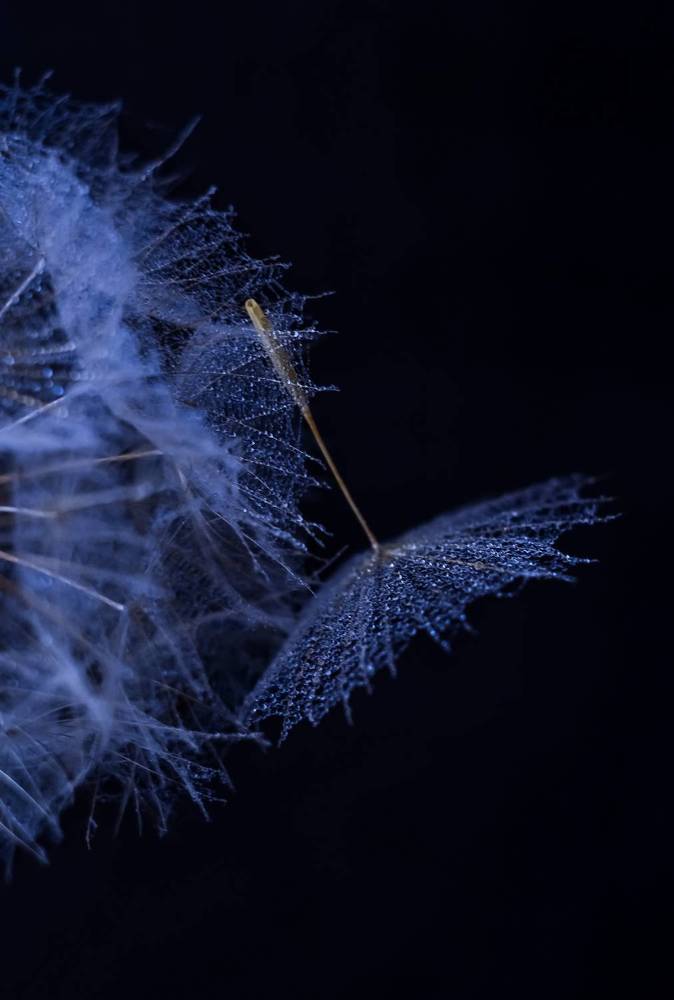 Photograph by Ирина Никульча