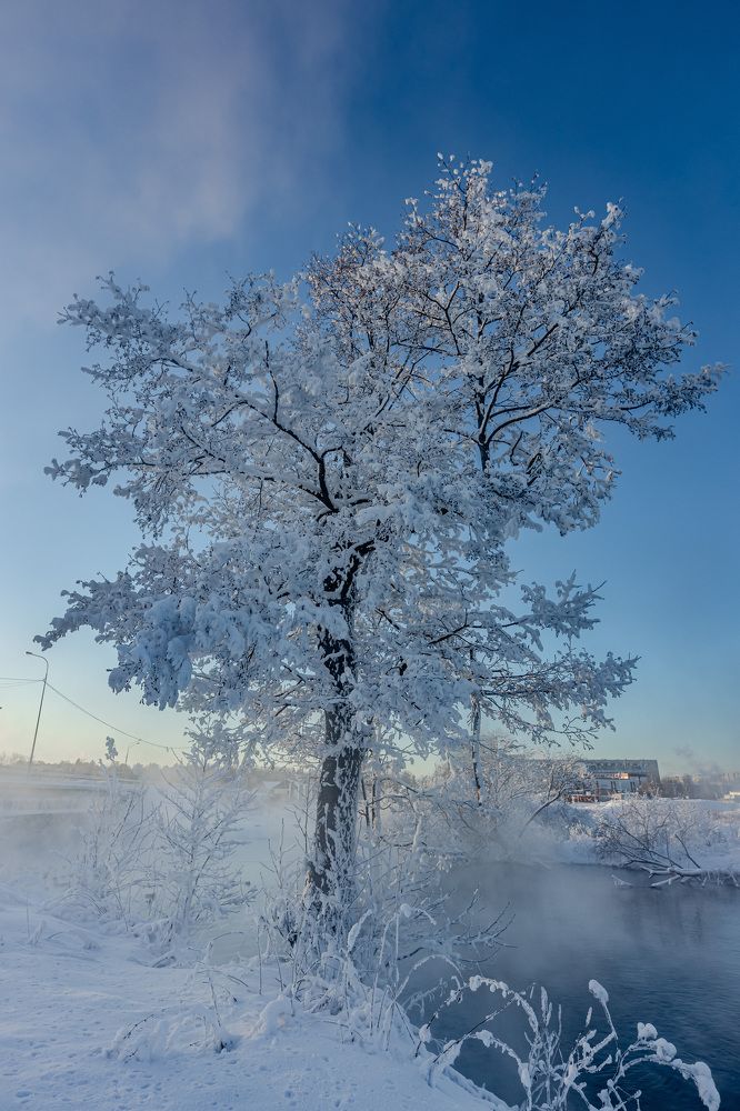 Фотография автора Rom@shkin