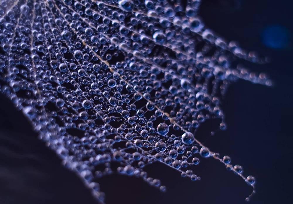 Photograph by Ирина Никульча