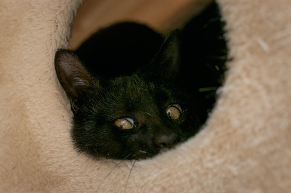 Фотография автора Оксана Белозерская