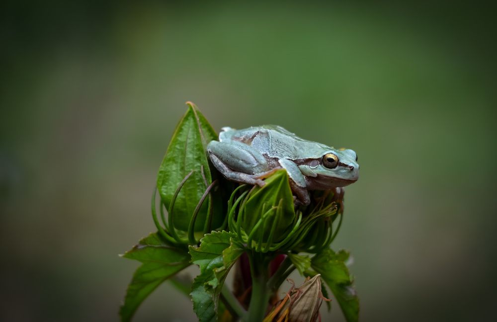 Photograph by Ирина Никульча