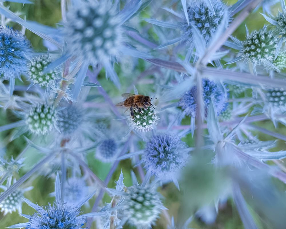Photograph by Кондрашова Светлана