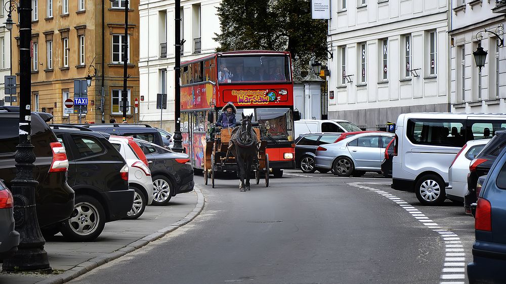 Photograph by Алексей Парамонов