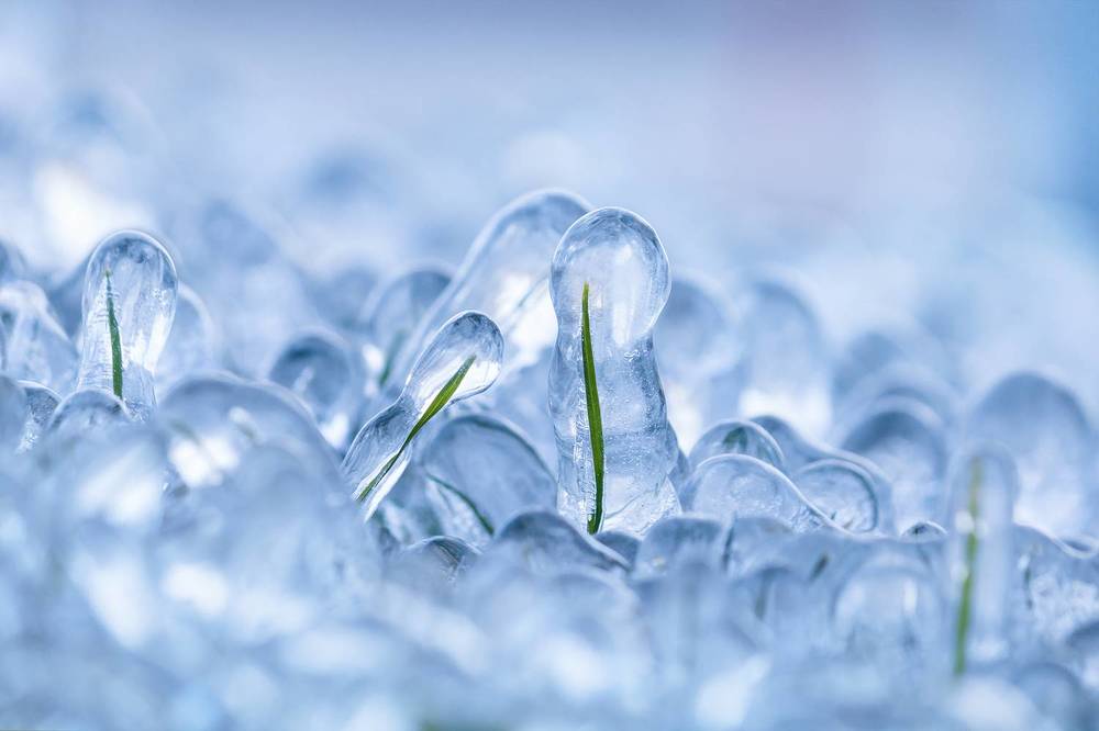 Photograph by Vania Tonova