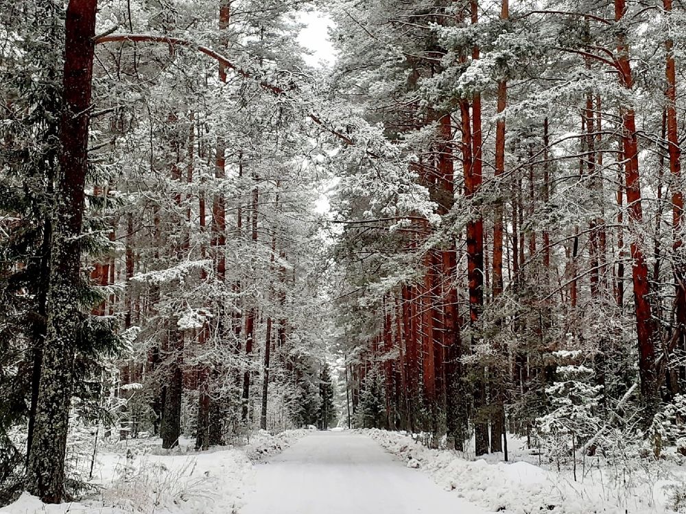 Photograph by Юрий Пучков