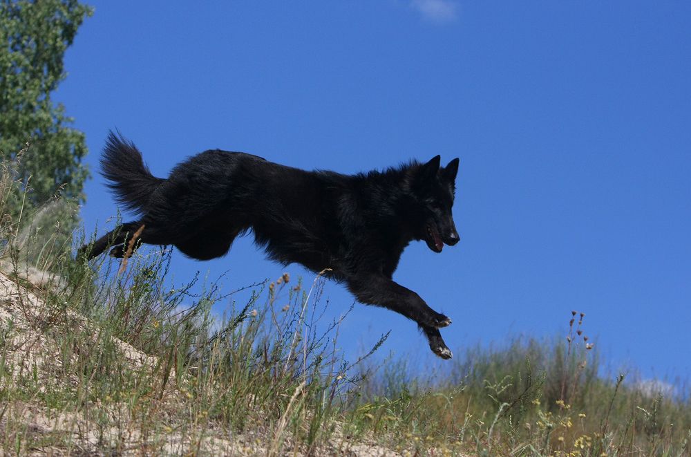 Фотография автора Надежда Лисицына