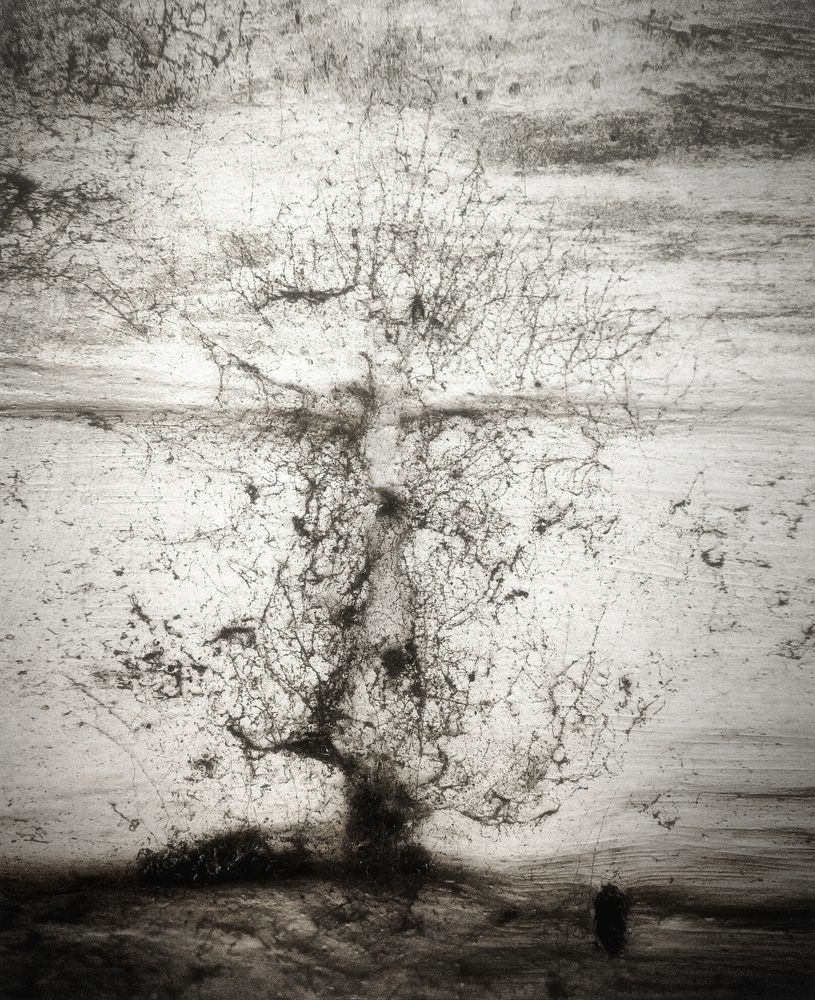 Photograph by Наталья Кириллова