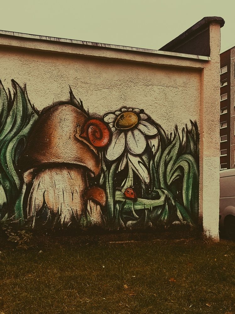 Photograph by Юлия Зинякова