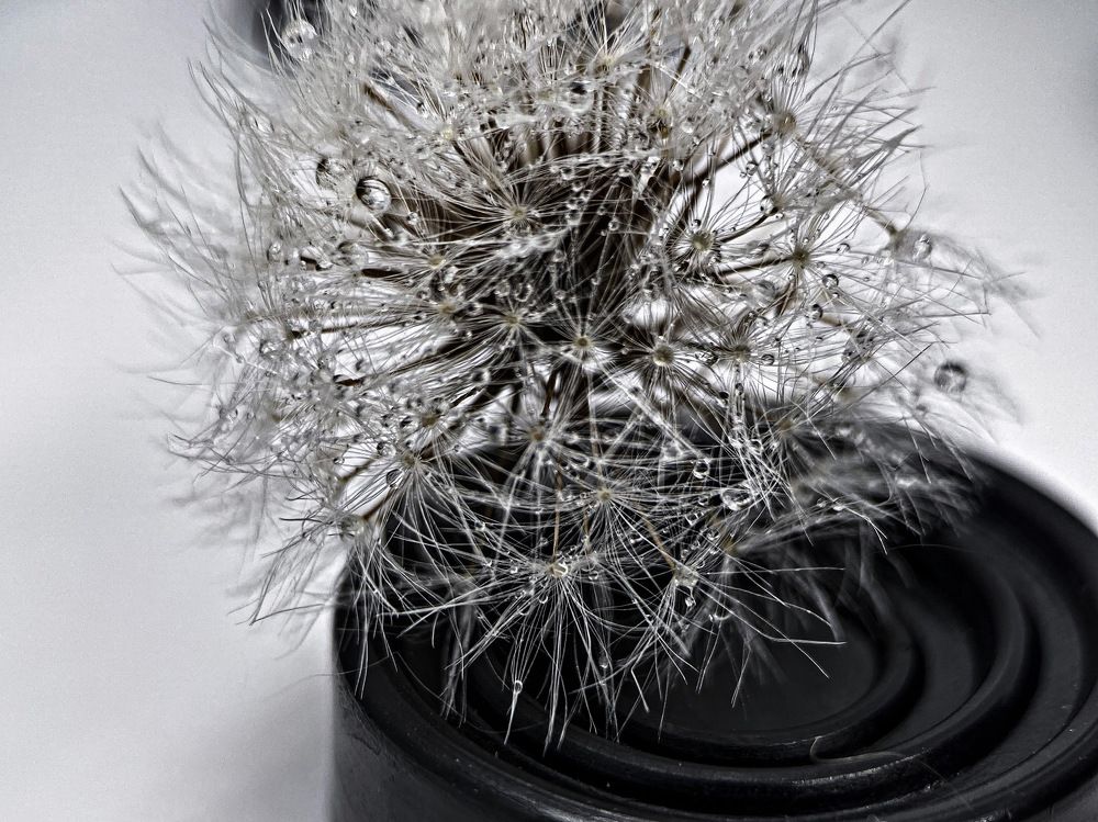 Photograph by Александра Гонтарь