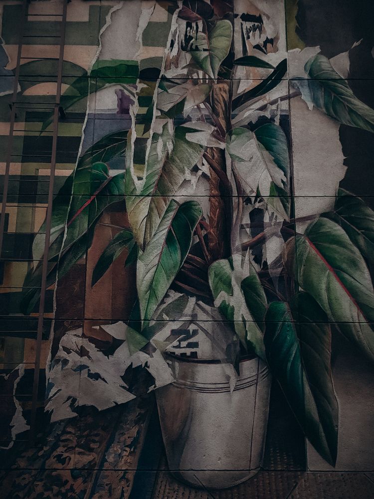 Photograph by Анастасия Дынина