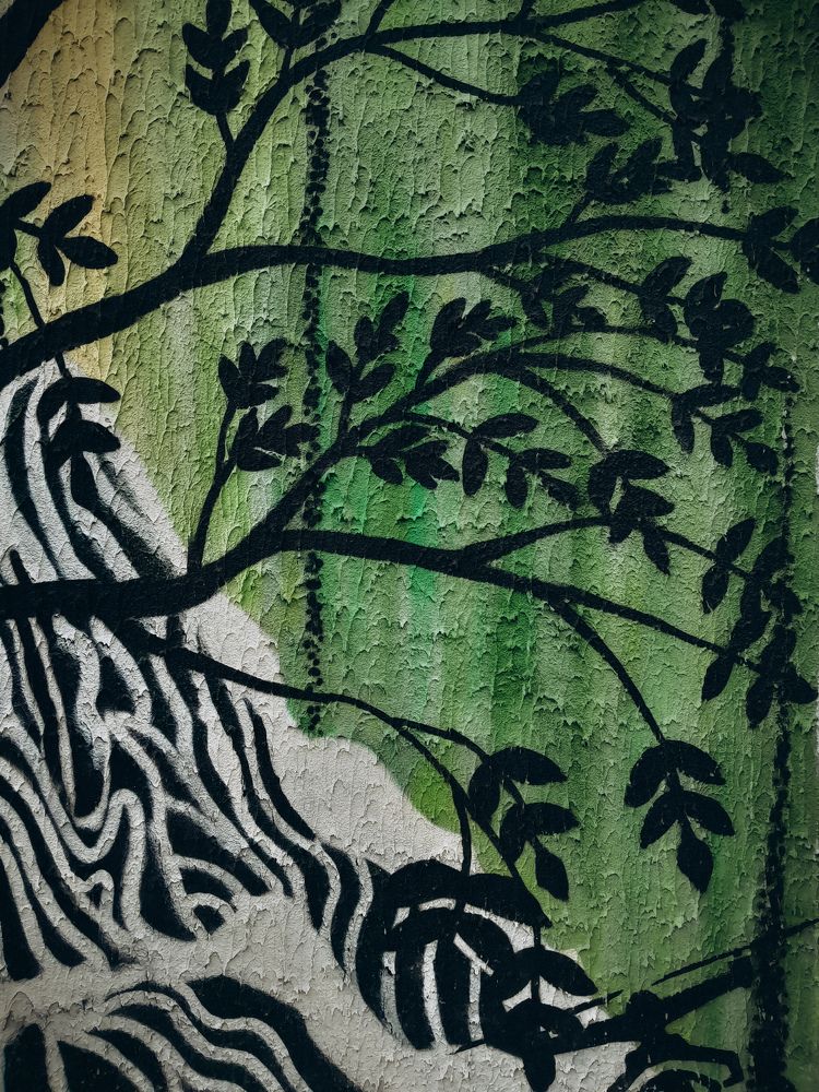 Photograph by Анастасия Дынина