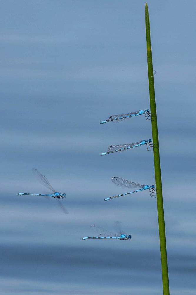 Photograph by Анастасия Глазюк