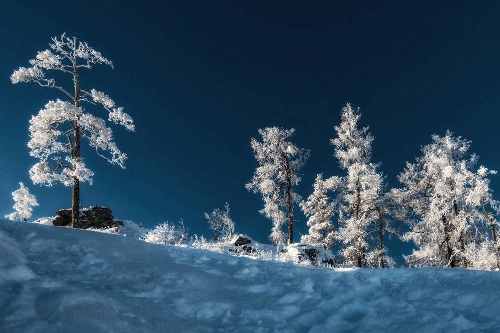 Photograph by Анастасия Глазюк