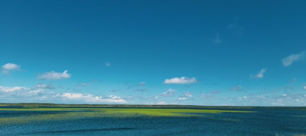 Фотография автора Valerya Vasileva